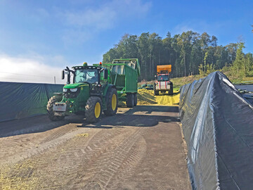 Silomais sollte nicht zu trocken und nicht zu feucht eingelagert werden. Das sichert den Siliererfolg.