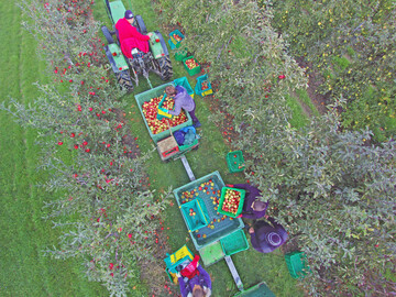 In der EU wird die nach dem Frostjahr 2017 schlechteste Ernte der letzten zehn Jahre erwartet.