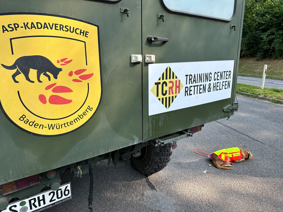 Ma�nahmen um die Verbreitung der Afrikanischen Schweinepest zu verhindern.