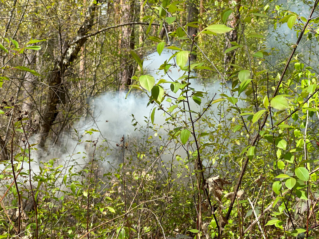 Die Feuerwehren des Landkreises Karlsruhe üben im Wald bei Kronau das Löschen eines Waldbrandes.