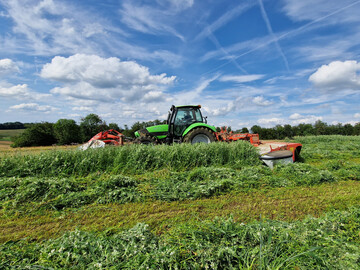 Zur Mahd der Gr�nfutterfl�chen auf einer Demofl�che von HumusKlimaNetz Ende Juni waren die Mischungen fast 1,20 m hoch.