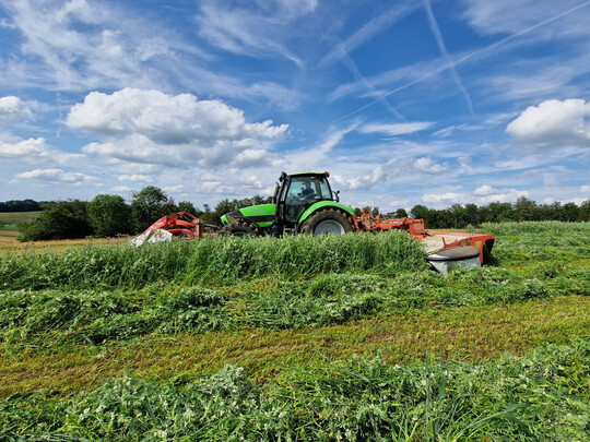 Zur Mahd der Grünfutterflächen auf einer Demofläche von HumusKlimaNetz Ende Juni waren die Mischungen fast 1,20 m hoch.