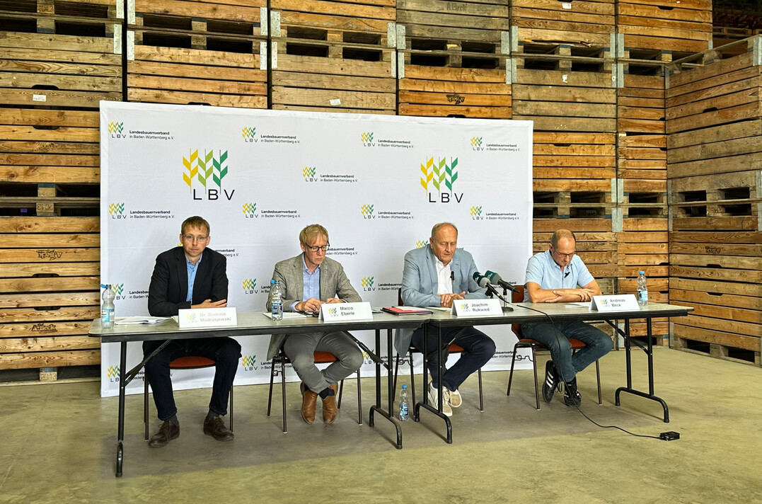 Erntepressekonferenz des Landesbauernverbandes 2024: (v. l.) Dr. Dominik Modrzejewski, Fachreferent im Landesbauernverband; LBV-Hauptgeschäftsführer Marco Eberle, LBV-Präsident Joachim Rukwied und Landwirt Andreas Beck.