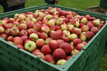 K�rzere Wege im Absatz: Die W�rttembergische Obstgenossenschaft (WOG) r�ckt auf Wunsch der Erzeuger n�her an die Obstvermarktung heran. Sie hat die Anteile der BayWa Obst GmbH an der Obst vom Bodensee Vertriebsgesellschaft �bernommen