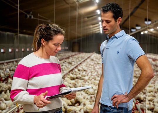 Das Interreg-Projekt RAMBO zielt darauf ab, Ammoniak- und Methanemissionen in der Gefl�gelhaltung durch Ma�nahmen wie Futteranpassungen und Stalloptimierungen zu reduzieren. 