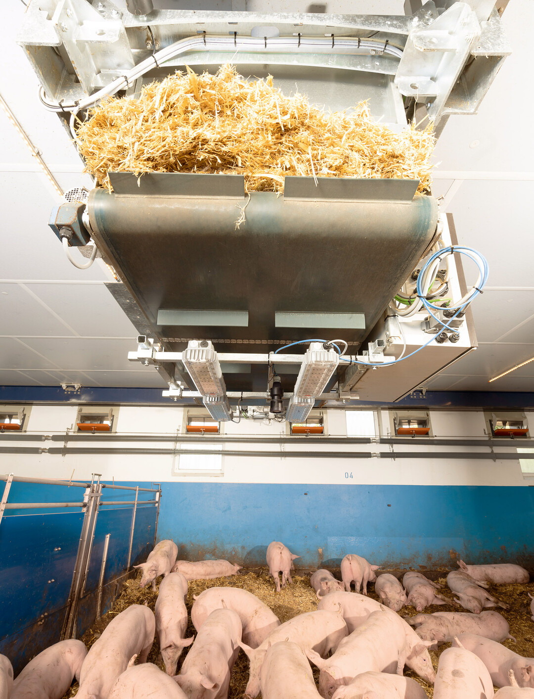 Die Firma Big Dutchmann International GmbH hat mit dem Einstreuroboter OlliGES eine innovative Technik entwickelt, die einen Ansatz zur Reduzierung der Einstreumengen ermöglicht. Der Roboter trifft dabei intelligent und eigenständig die Entscheidung, wo und wie viel Einstreu eingebracht werden muss. Parallel übernimmt der OlliGES auch das vollständig automatisierte Einstreuen an den gewünschten Stellen.
Grundlage dafür liefert laut Hersteller eine Bewertungsfahrt durch den Einstreuroboter während der Nacht.