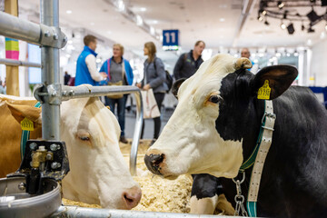 1 Vier Tage lang dreht sich in Hannover alles um die Tierhaltung und regenerative Energien.