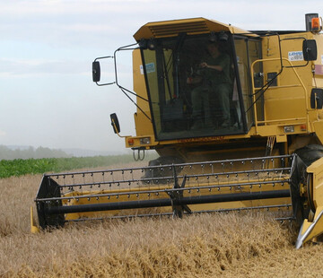 Eine �berdurchschnittliche Wintergetreideerzeugung wird in Australien erwartet.