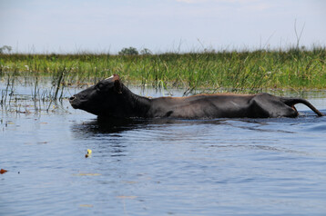 Land und Boden müssen die Ernährung der wachsenden Weltbevölkerung sichern – rund um den Globus.