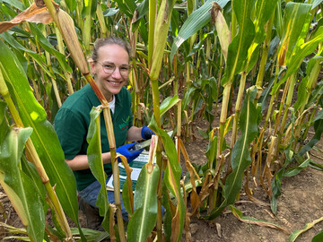 Elisa Beitzen-Heineke bei der Bonitur des Maisz�nslers.