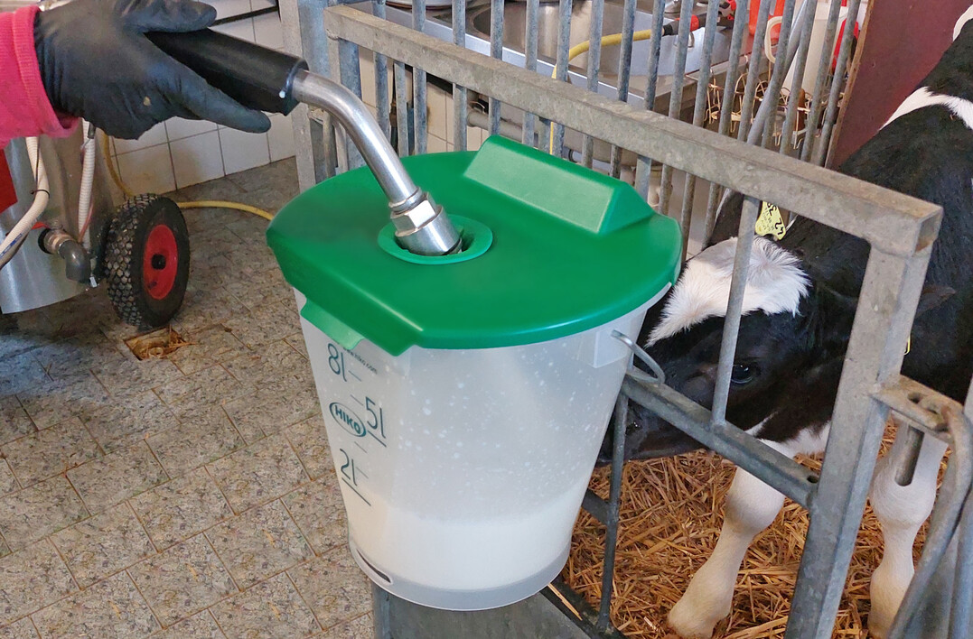 Mithilfe des Tr�nkeeimer-Deckels Easyf�ll des Herstellers Hiko GmbH k�nnen Tr�nkeeimer dicht verschlossen werden. Dadurch kann ein Eintrag von Fremdstoffen wie Schmutz oder Fliegen weitgehend ausgeschlossen wird.