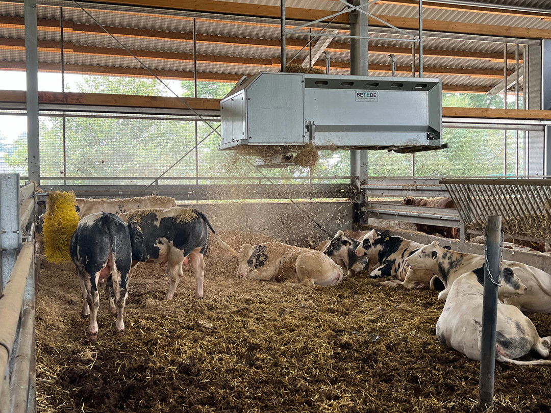 Der Betebe-Strohexpress erm�glicht als erstes System ein automatisches Entnehmen der Strohb�nder aus den Strohballen und minimiert die Fehleranf�lligkeit von Einstreusystemen f�r Liegeboxen-, Tretmist- oder Tiefstreustallungen.