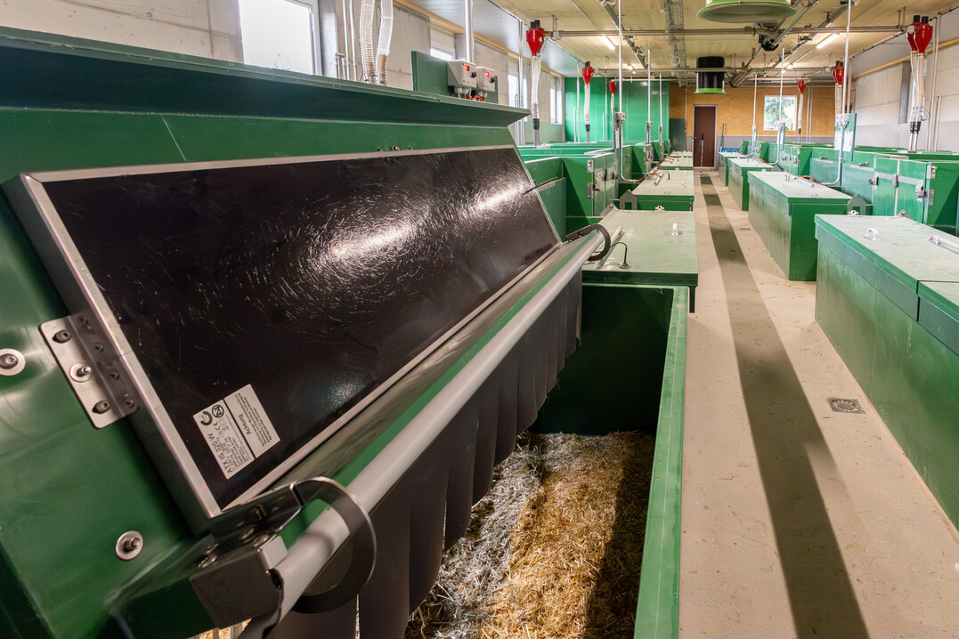 Die Firma ATX hat mit ihrem ATX Thermonest ECO die W�rme-Leitfunktion f�r diese Aufstallungsform weiterentwickelt. Die mit Patent gesch�tzte Vorhangarretierung kann eigenh�ndig und zeitsparend umgelegt werden. Der Vorhang ist beim Senken des Deckels nach oben umgelegt, was die Bedienung erleichtert.