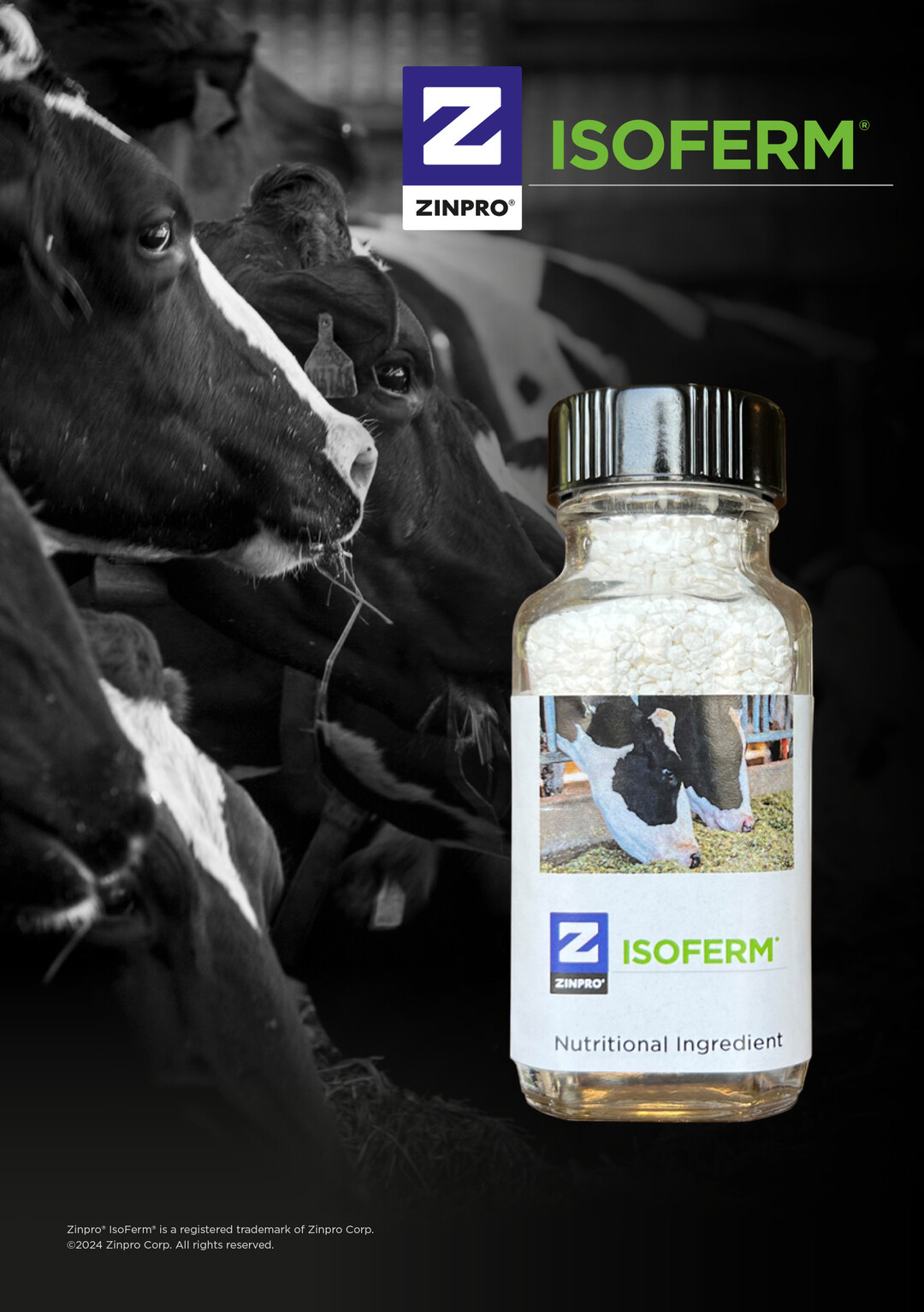 Zinpro IsoFerm ist eine Mischung fl�chtiger Fetts�uren, die bei gezielter Zulage das Potenzial zur Verbesserung der mikrobiellen Proteinsynthese und Faserverdaulichkeit bei K�hen haben. Dadurch werden die Pansenfunktion, -stoffwechsel und -effizienz gef�rdert. 