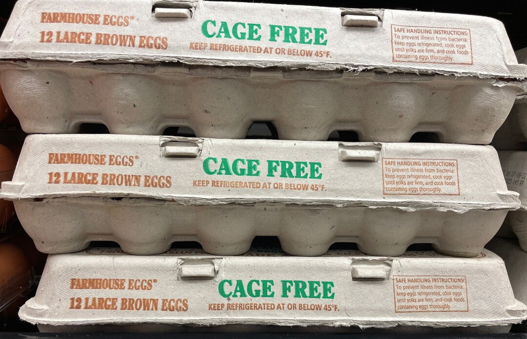 Viele große europäische Lebensmittelunternehmen vertreiben keine Eier mehr aus Käfighaltung.