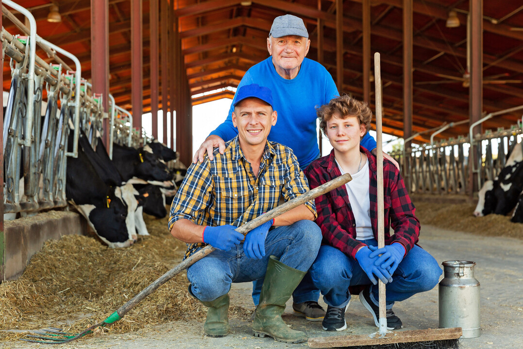 Generationen, Stall, Familie, Milchvieh, Hof�bergabe, Hofnachfolge.