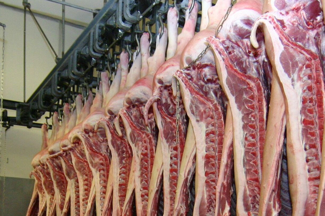 Der deutsche Schweinebestand ist wieder gewachsen, die Nachfrage nicht. Deshalb sind f�r Deutschland weiter steigende Exportaktivit�ten zu erwarten.