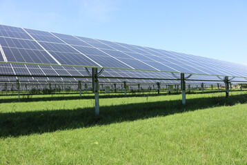 Agri-PV-Anlage auf Ackerland. Da während der Bauphase der Boden sehr gelitten hat, wurde zunächst Kleegras eingesät. Im Herbst wird Getreide eingesät.