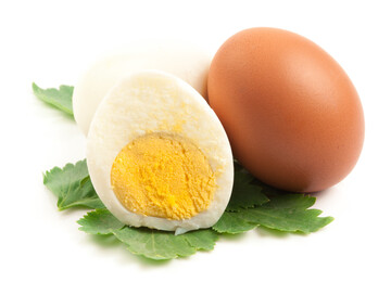 Der Welt-Ei-Tag wurde 1996 von der International Egg Commission ins Leben gerufen und wird seither in mehr als 100 L�ndern der Welt jedes Jahr im Oktober gefeiert. 