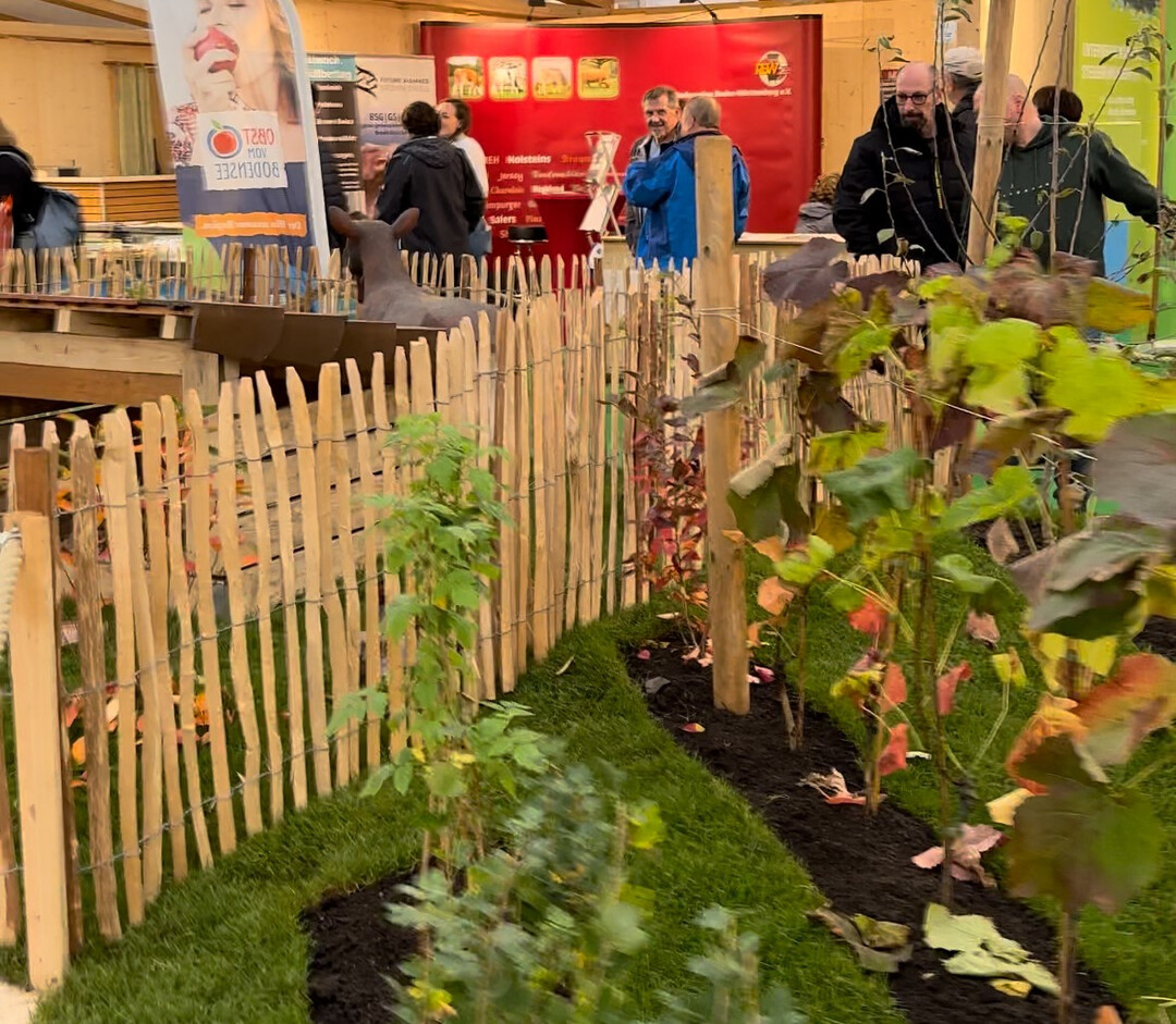 Oberschwabenschau 2024: der Gr�ne Pfad.