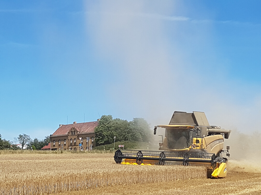 Die Anbaufl�che f�r Durum in Deutschland erreichte 2024 erneut einen neuen H�chstwert. 