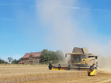 Die Anbaufl�che f�r Durum in Deutschland erreichte 2024 erneut einen neuen H�chstwert. 