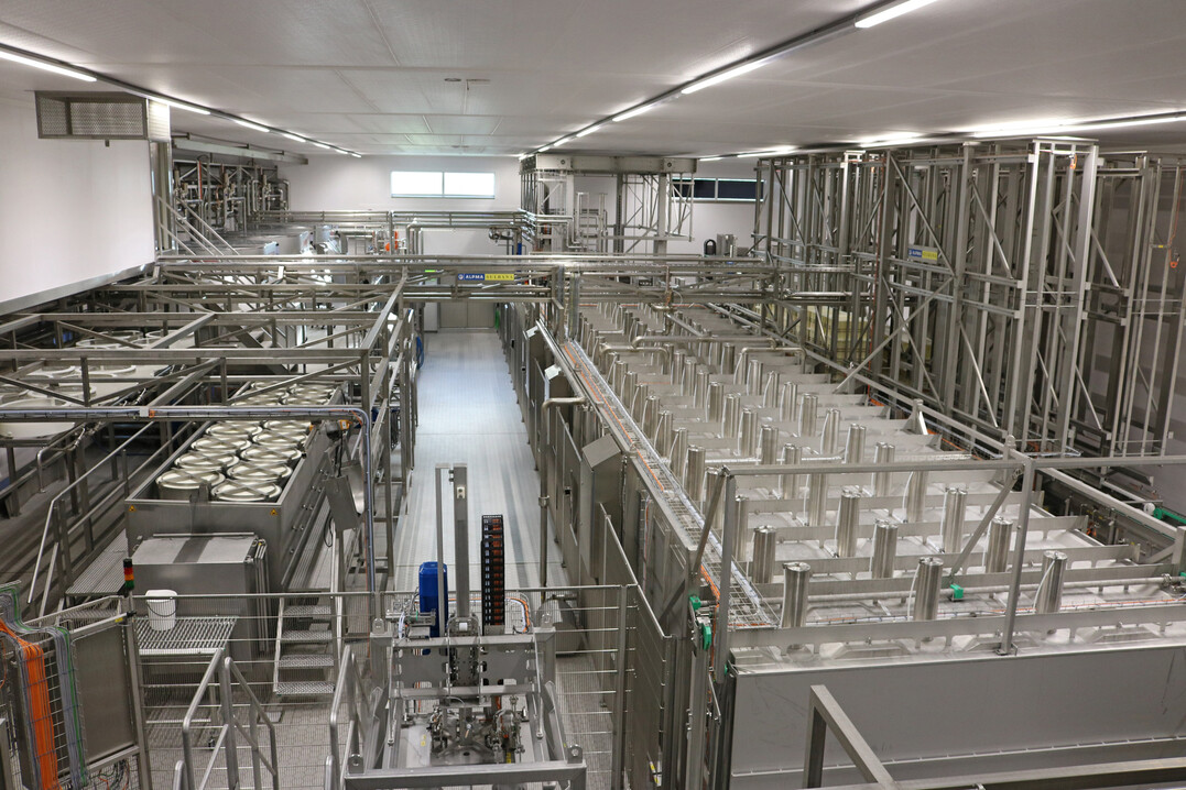 Blick in die neue Käserei: Nach ersten Anlaufschwierigkeiten beim Standard-Emmentaler gibt es mittlerweile keine Probleme mehr. „Wir sind zufrieden und nähern uns dem Optimum“, meinte Geschäftsführer Michael Welte. Spätestens Anfang des kommenden Jahres will man mit größeren Produktionsmengen durchstarten und die Vorteile der neuen Anlage voll ausschöpfen.