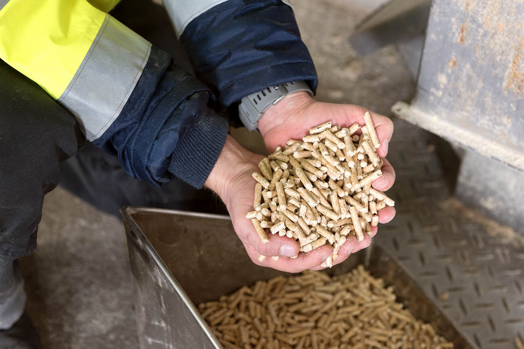 Pelletk�ufer sollten auf Qualit�tsware achten. Das schont die Heizung und das Klima. 
