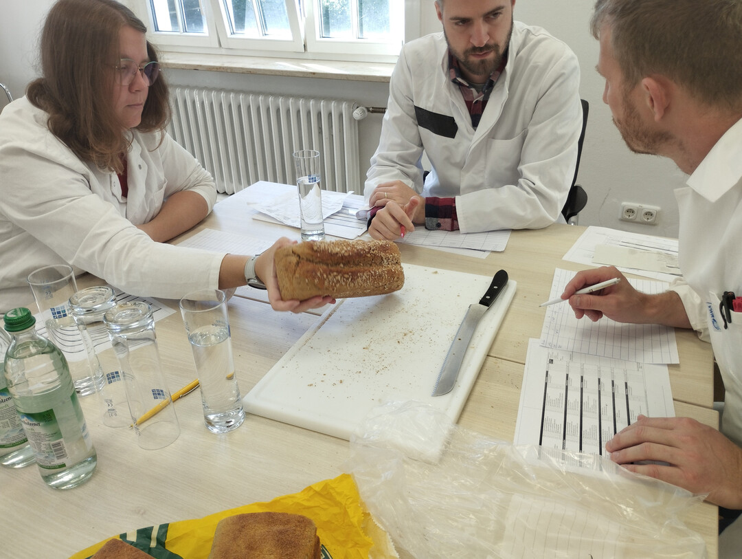 Bioland-Brotprüfung: Das diesjährige Ergebnis spiegelt die große Qualität der Bioland-Backwaren wider: 50 der 62 geprüften Brote beurteilte die Fachjury mit Gold und 12 mit Silber. Bioland-Bäcker*innen verwenden in ihren Backwaren ausschließlich natürliche Zutaten.