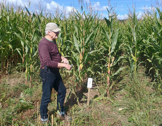 Auf dem Maistag in Aulendorf pr�sentierte Wilhelm Wurth vom LAZBW �kologische Best�nde.