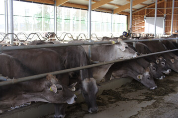 Eine Neuerung bei der jetzt beschlossenen Fortf�hrung der ITW-Rind ist die Einf�hrung einer unbefristeten Teilnahme f�r die Betriebe, �hnlich wie bereits bei den Programmen f�r Schweine und Gefl�gel. 