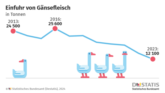 Die Importe von Gänsefleisch sind in den vergangenen Jahren deutlich rückläufig. Auch die Eigenerzeugung in Deutschland fiel 2023 gegenüber den Vorjahren geringer aus.