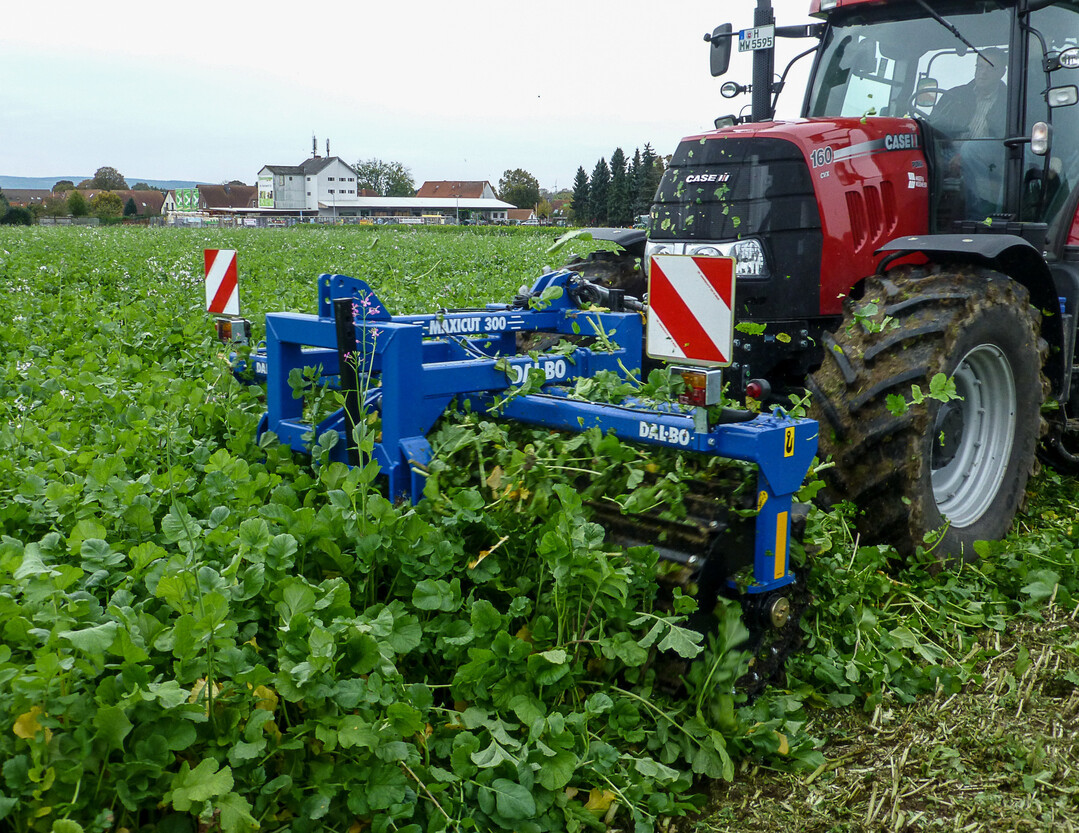 Durch den Einsatz einer Messerwalze können Zwischenfrüchte schnell und kostensparend reguliert werden.