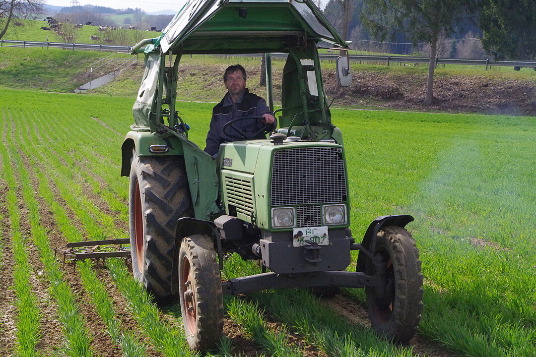 Dreifelder-Egge von Landwirt Sch�dler: Die klassische Egge ist auf dem Betrieb nicht mehr im Einsatz und wurde eigens f�r den Hack- und Striegeltag angeh�ngt.