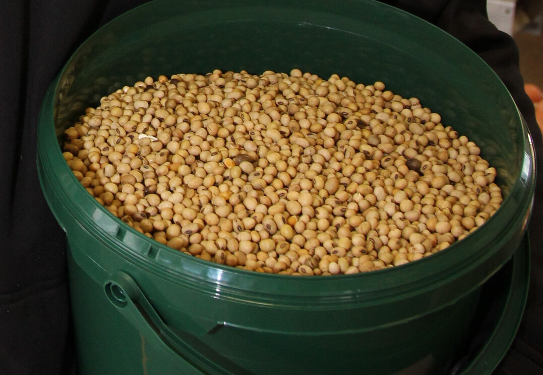 Im Vorfeld der EU-Entwaldungsverordnung füllten Importeure ihre Lager mit Sojabohnen. Die meiste Ware kam aus Brasilien.