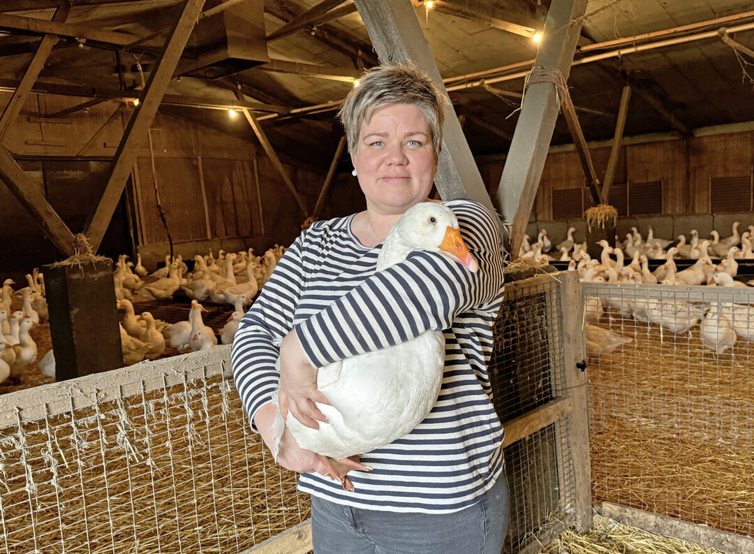 G�nsez�chterin Iris Tapphorn aus Lohne, Niedersachsen.