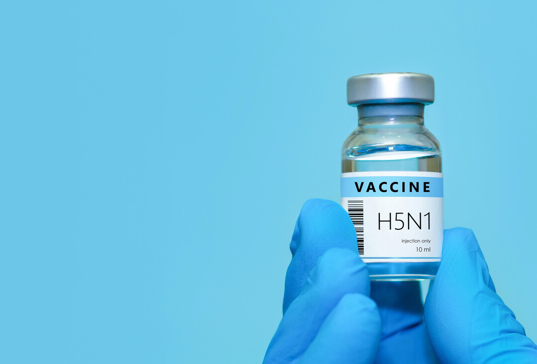 BTK und BfT fordern in einem Positionspapier, Impfungen als zentrale Ma�nahme in der Tierseuchenbek�mpfung zu verankern