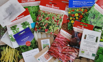 Im Laufe der Jahre sammeln sich viele Samenp�ckchen an. Vor der Aussaat sollte �lteres Saatgut mit einer einfachen Keimprobe auf seine Keimf�higkeit getestet werden.