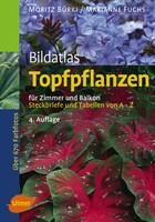 Bildatlas Topfpflanzen