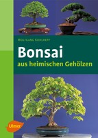 Bonsai aus heimischen Geh�lzen