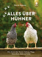 Alles �ber H�hner