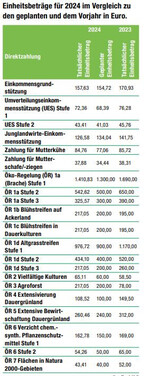 Tatsächlichen Einheitsbeträge für 2024 im Vergleich zu den geplanten Einheitsbeträgen 2024 und den tatsächlichen Einheitsbeträgen 2023.