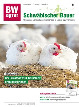 Cover BWagrar 31/2018