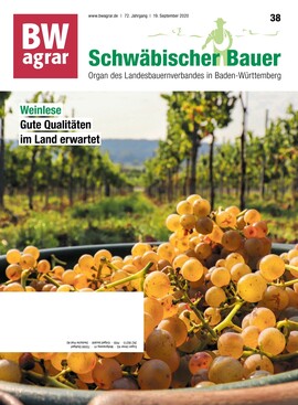 Cover BWagrar 38/2020