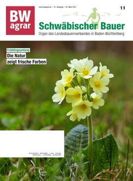 Cover BWagrar 11/2021