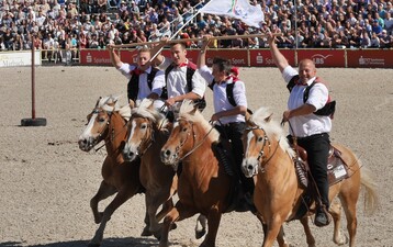 Gleich zu Beginn der Hengstparade in Marbach begeistern rasante Reiter mit ihren Haflingern aus S�dtirol das Publikum.