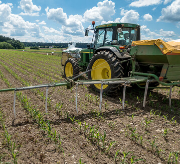 Die Etablierung einer Untersaat kann viele Aspekte des Maisanbaues positiv beeinflussen. 