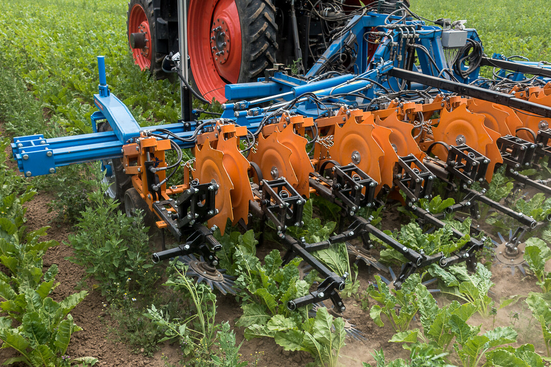 Nur bei optimaler Anpassung an den Pflanzenbestand können bestmögliche Hackergebnisse erzielt werden.