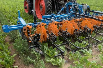 Nur bei optimaler Anpassung an den Pflanzenbestand k�nnen bestm�gliche Hackergebnisse erzielt werden.