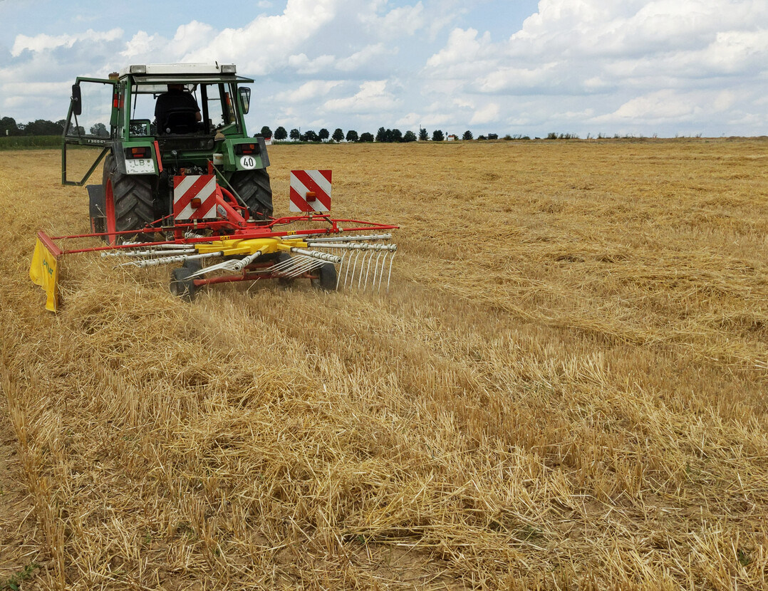 Witterungsangepasstes Management ist Voraussetzung für eine optimale Stroh-Qualität.